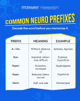 Common Neuro Suffix & Prefix.pdf